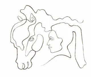 mindfulriders teori u islandske heste undervisning træning af islandske heste